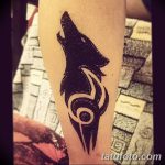 снимка на вълка Мехенди от 05.05.2018 г. №007 - вълкът Мехенди -