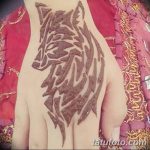 снимка на вълка Мехенди от 05.05.2018 г. №008 - вълкът Мехенди -