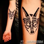 снимка на вълка Мехенди от 05.05.2018 г. №009 - вълкът Мехенди -