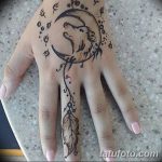 снимка на вълка Мехенди от 05.05.2018 г. №010 - вълкът Мехенди -