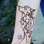 снимка на вълка Мехенди от 05.05.2018 г. №012 - вълкът Мехенди -