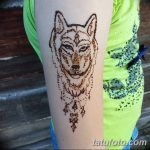 снимка на вълка Мехенди от 05.05.2018 г. №013 - вълкът Мехенди -