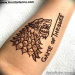 снимка на вълка Мехенди от 05.05.2018 г. №016 - вълкът Мехенди -