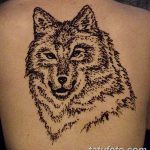 снимка на вълка Мехенди от 05.05.2018 г. №017 - вълкът Мехенди -