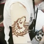 снимка на вълка Мехенди от 05.05.2018 г. №021 - вълкът Мехенди -