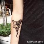 снимка на вълка Мехенди от 05.05.2018 г. №025 - вълкът Мехенди -