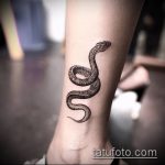 Снимка змия от къна - 21072017 - пример - 002 Змия с къна