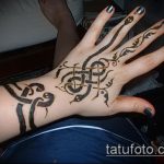 Снимка змия от къна - 21072017 - пример - 004 Змия с къна