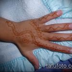 Снимка змия от къна - 21072017 - пример - 009 Змия с къна