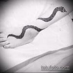 Снимка змия от къна - 21072017 - пример - 013 Змия с къна