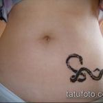 Снимка змия от къна - 21072017 - пример - 017 Змия с къна