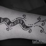 Снимка змия от къна - 21072017 - пример - 019 Змия с къна