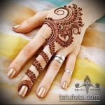 Снимка змия от къна - 21072017 - пример - 021 Змия с къна