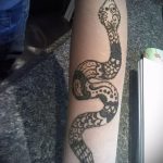 Снимка змия от къна - 21072017 - пример - 023 Змия с къна