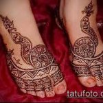 Снимка змия от къна - 21072017 - пример - 027 Змия с къна