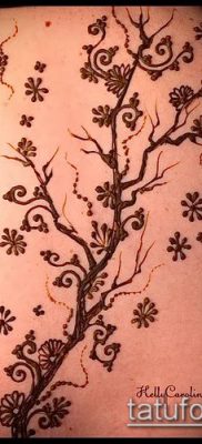 Foto af en tatovering af henna (tatovering af henna) (værdi) - eksempeltegning - 042