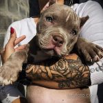 Foto af et fedt tatoveringsdesign 23.05.2020 №003 -cool tatovering-