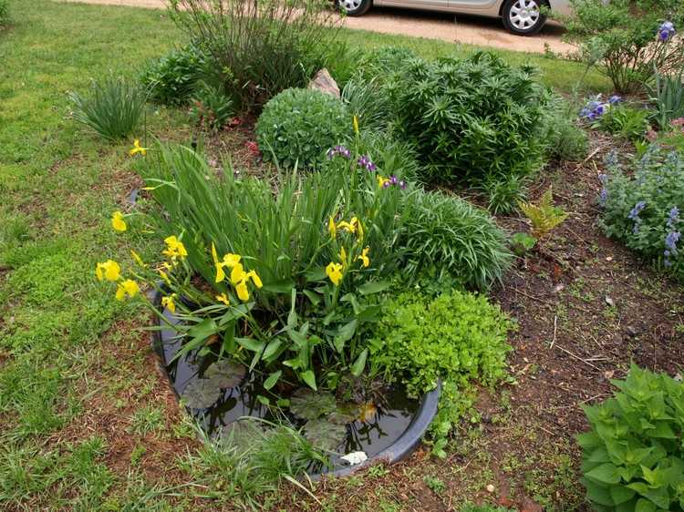 Mini záhradné jazierko vykopané-vodné rastliny