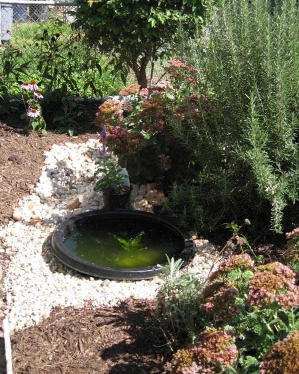 okrúhla malta vedro záhrada vytvoriť mini rybník zakopaný