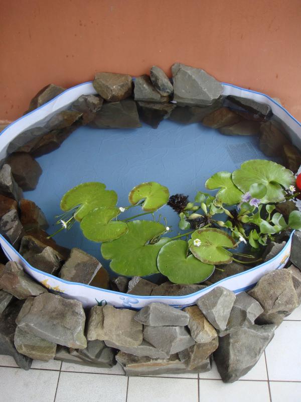 vytvorte si mini jazierko sami krycie kamene