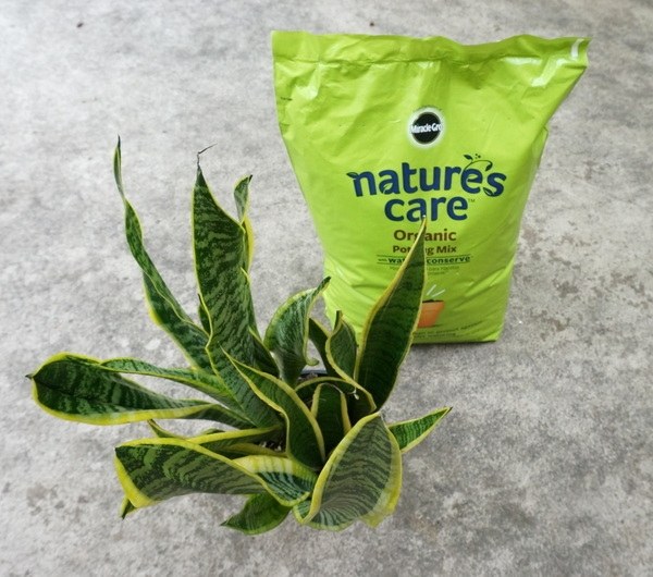 Plnenie kvetináčov zeminou - nápady na exteriérový salónik Naplnenie-rastlín-kontajnerov-s-zalievanie-pôda-nápady-pre-vonku