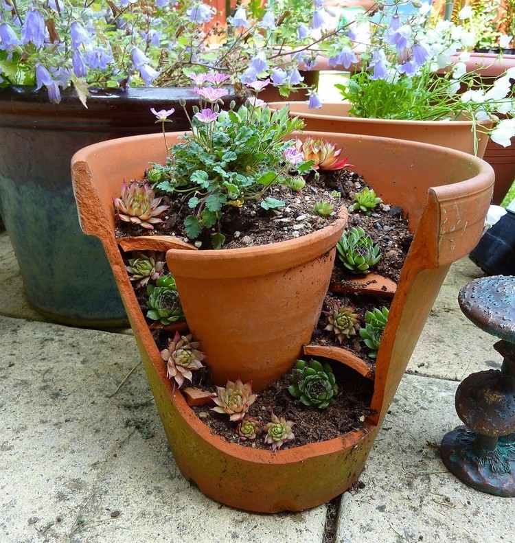 Vytvorte mini-záhradnú hlinenú nádobu-záhradu-vytvorte-sukulenty
