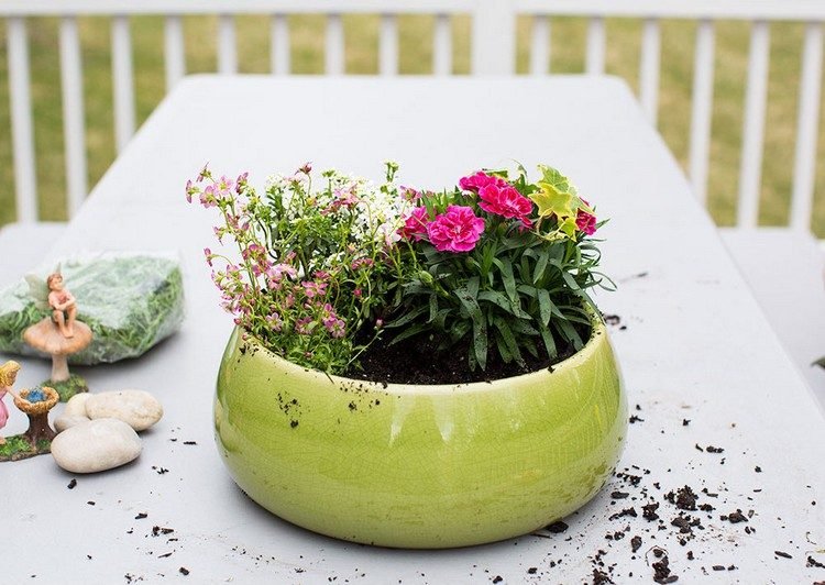 mini-záhradný-dizajn-kvetináč-rastlina-malé-kvety