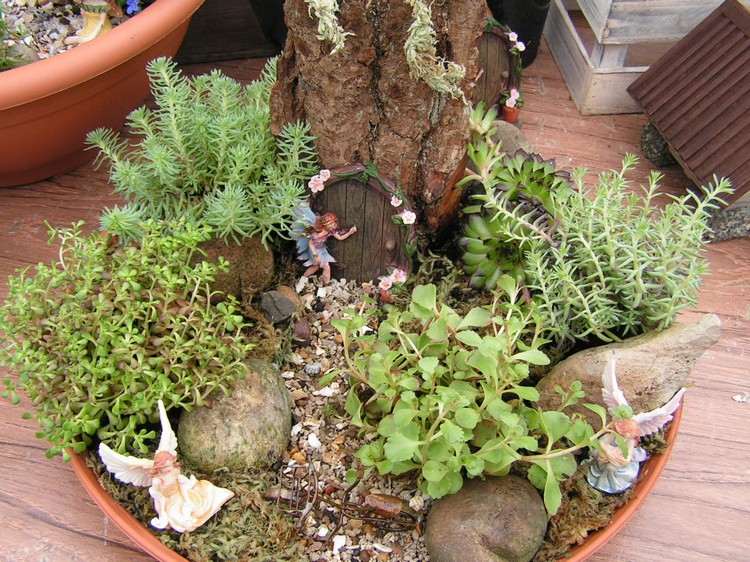 mini-záhrada-dizajn-vytvárať-rastliny-nápady-dekorácia
