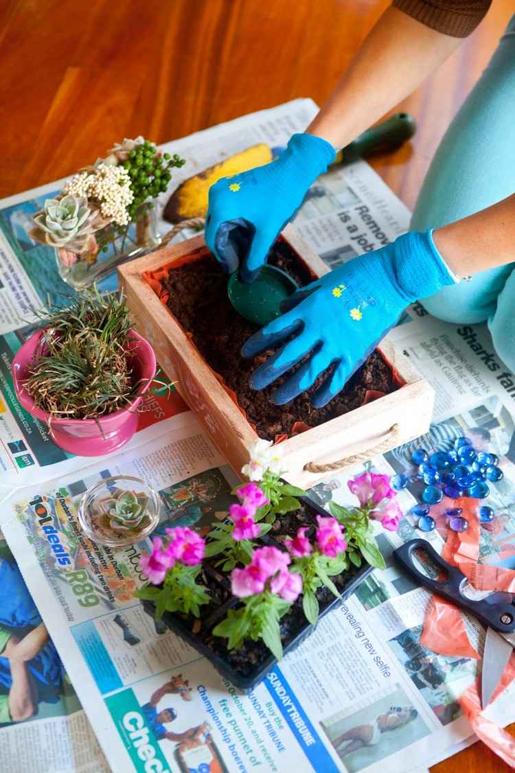 mini-záhrada-dizajn-návod-drevená-krabica-výplň-miniatúrna-záhrada-vytvoriť