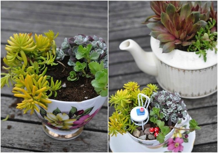 mini-záhradný-dizajn-šálka-čajník-rastlina-sukulenty