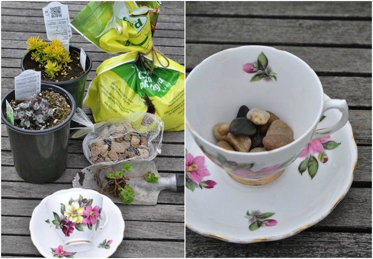 mini-záhrada-návod na použitie-skalka-záhrada-sukulenty-výsadba