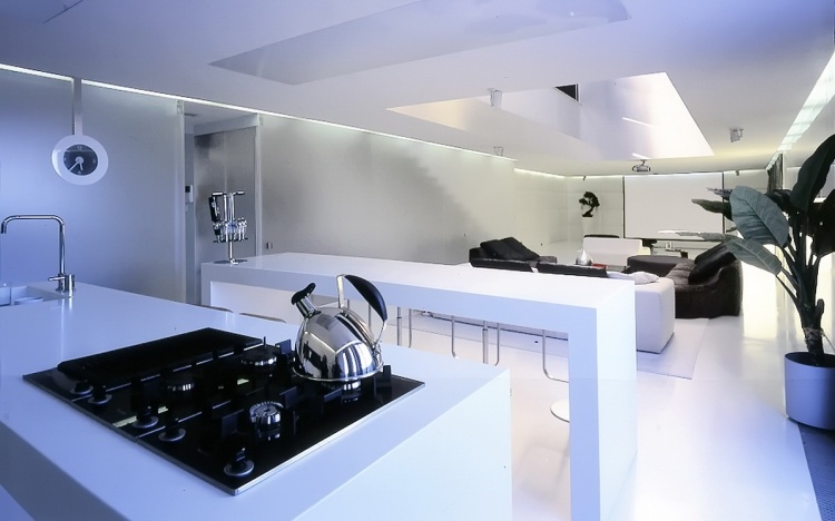 minimalistická obývačka-kuchyňa-obývacia časť-čierna-biela-jednoduché-nepriame-osvetlenie-vysoký-lesk-rastlina