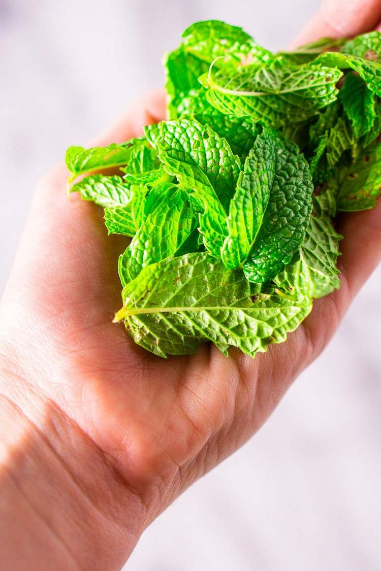 Hrsť lístkov čerstvej mäty na domácu zmrzlinu