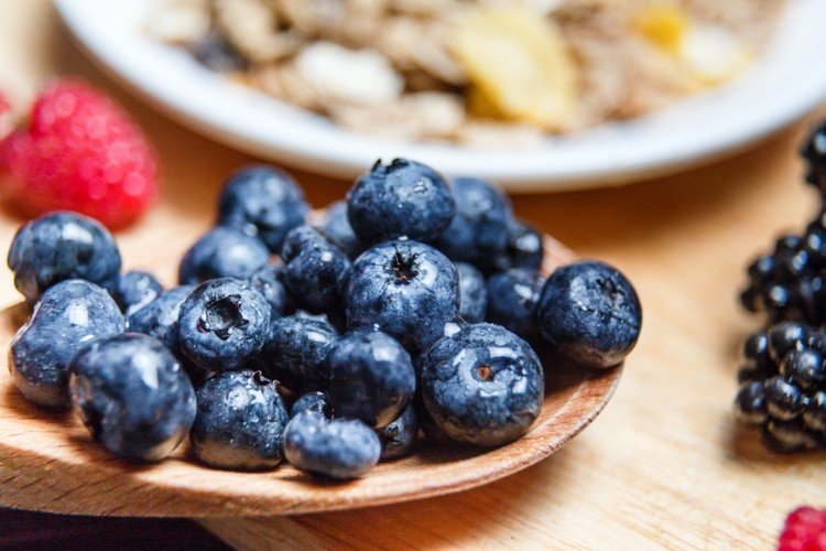 Čučoriedky zlepšujú citlivosť tela na inzulín