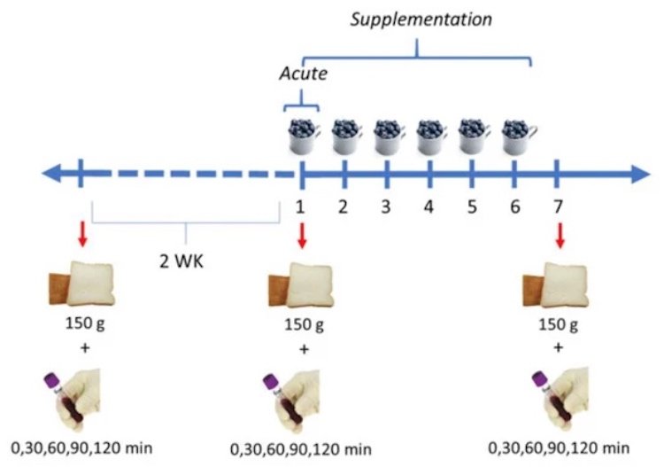 jesť čerstvé čučoriedky s krajcom bieleho chleba