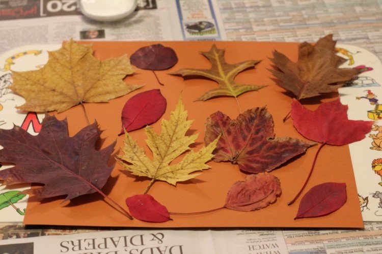 Vyrobte si jesennú podložku na stôl listy-jeseň-drotár-podložka-stôl-podložka-zber-listy-drotárstvo-nápad