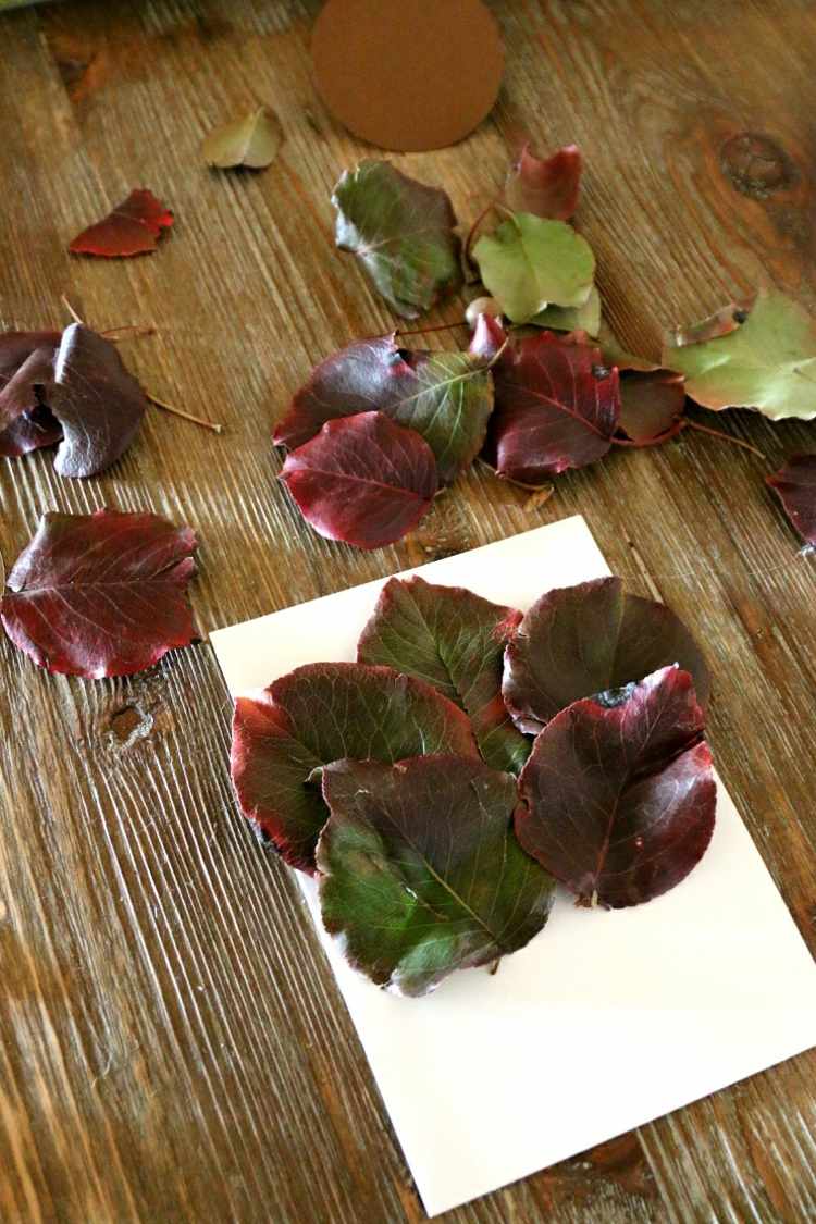 Listy tvoria morčací chvost listy-jeseň-drotár-nápady-stimulácia-zvieracie-listy-blahoželanie-dizajn