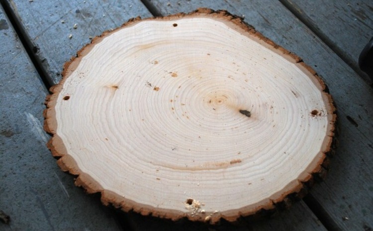 drevené disky-drotári-diery-vŕtačka-kôra-kmeň