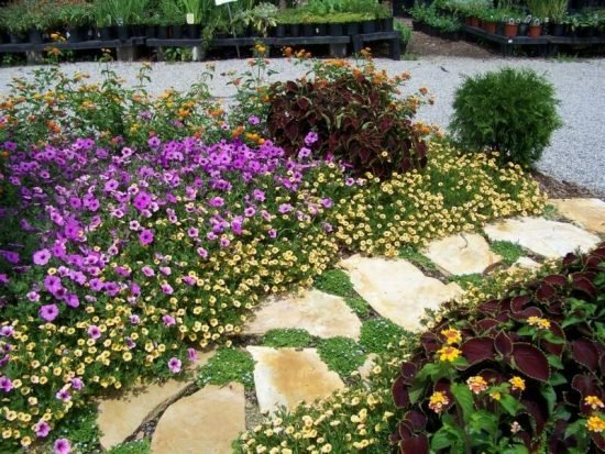 Steinweg nápady na záhradu Návrhy záhradných nápadov Steinweg