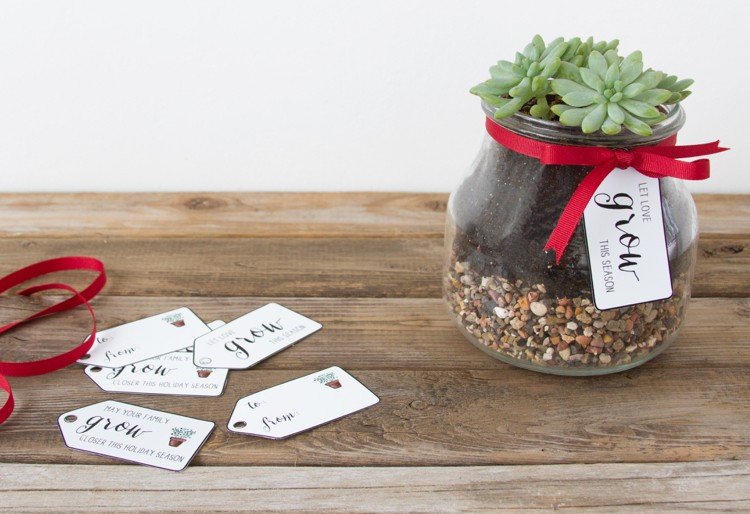 suveníry vianočné originálne nápady rastlinné sklo