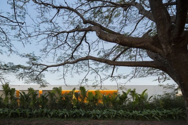 Moderný dom s plochou strechou v džungli Moderný dom s plochou strechou-v záhrade s palmami