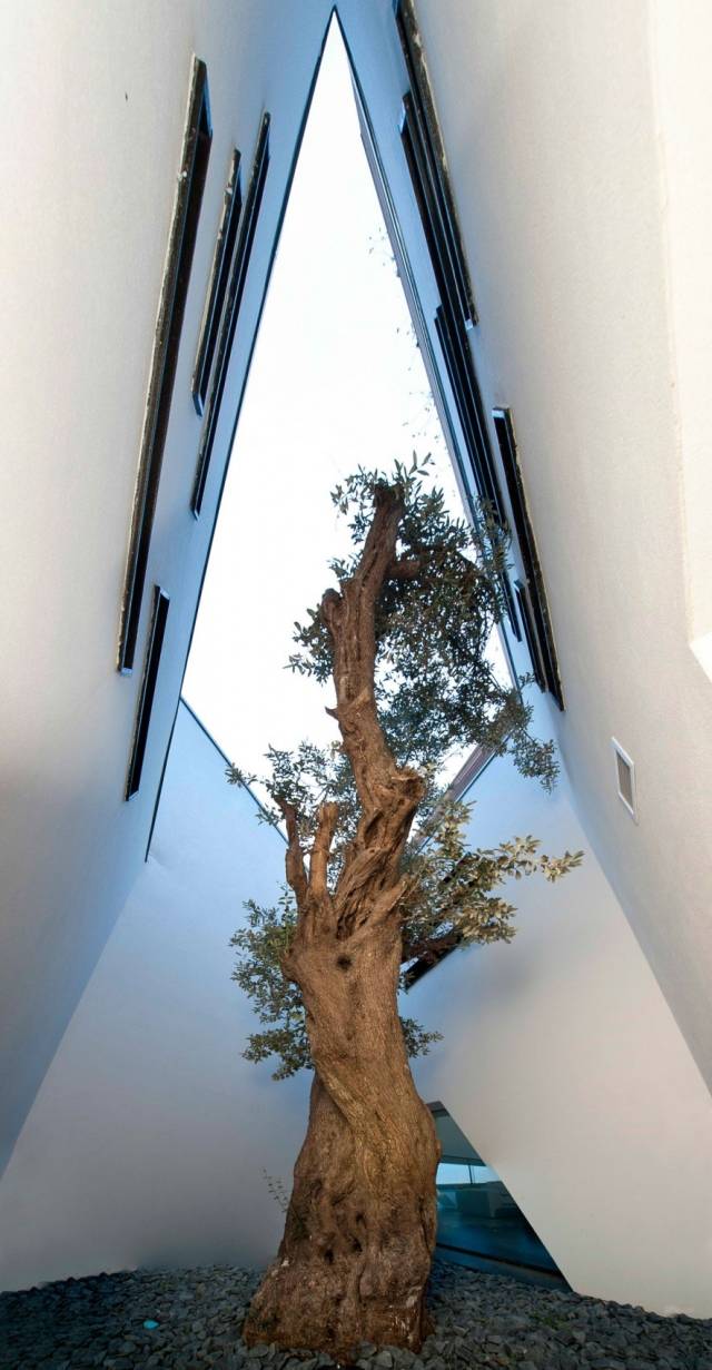 architektúra a dizajn dekoratívne prvky stromové okno zaujímavý tvar moderné dekoratívne prvky stromové okno zaujímavý tvar