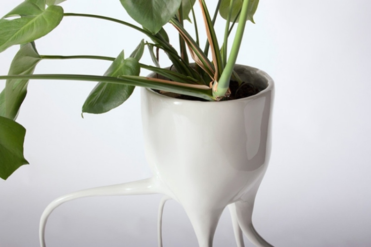 moderný kvetináč Monstera od Tima de Weerda moderné kvetináče design-tim-de-weerd