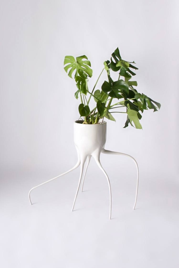 Dizajnový kvetináč s ozdobnými nohami dizajnér-kvetináč-monstera-rastlina-tim-de-weerd