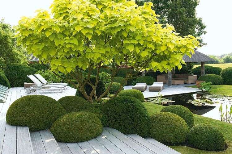 moderná záhradná architektúra záhradný dizajn geometrické tvary výsadba sférických stromov