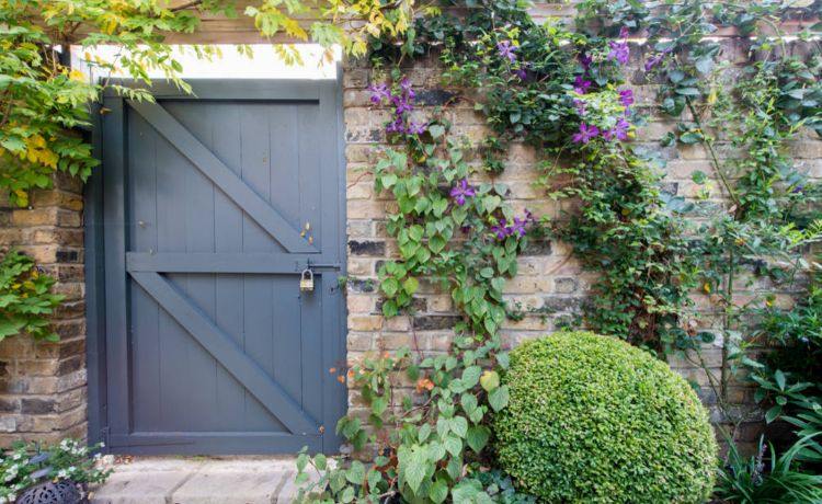 moderná záhradná architektúra záhradný dizajn geometrická sférická výsadba