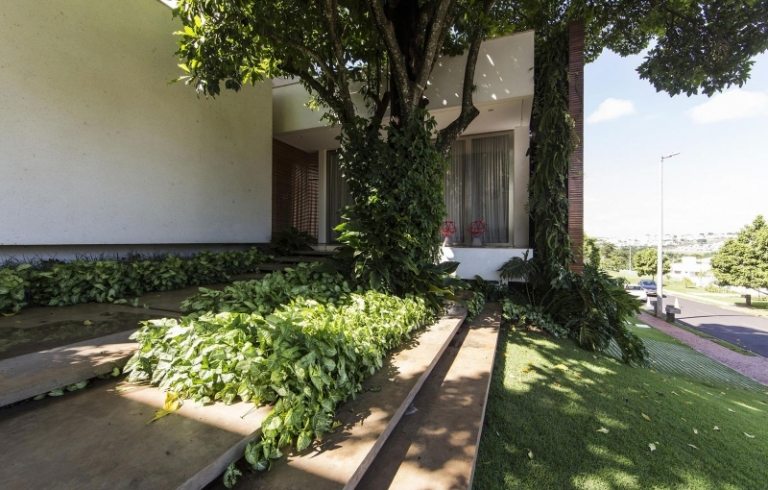 moderný-záhradný-dizajn-drevený-fasádny-dom-schody-trávnik-ulica-vchod-zemný kryt