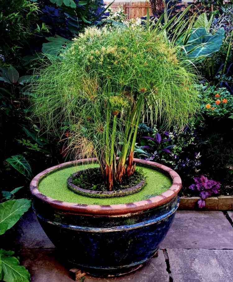 moderné-záhradné-umenie-sochy-kvetináče-bambus-voda-umne