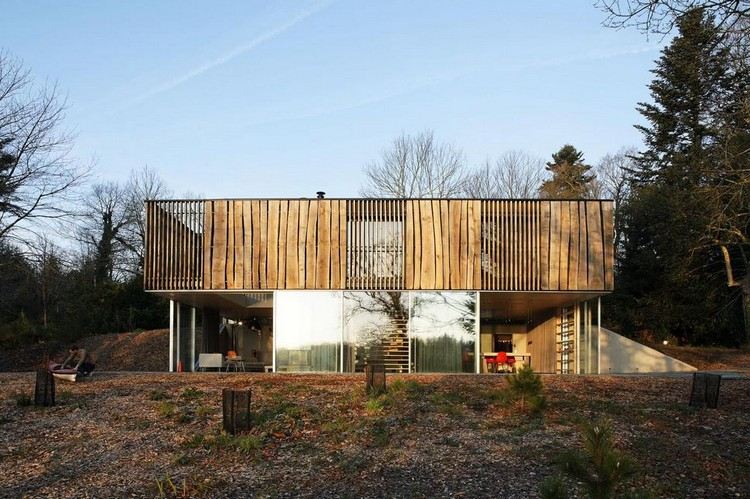 moderný-drevený-fasádny-dom-prírodný-D-dom