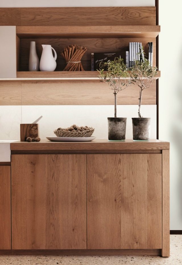 Moderná kuchyňa-taliansky dyhovaný nábytok-kuchynská skrinka policová-otvorená dizajnová kuchyňa-taliansky nábytok-kuchynská skrinka nástenné police-otvorené